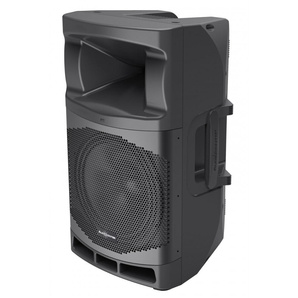 Audiocenter MA12 активная акустическая система в Ишиме