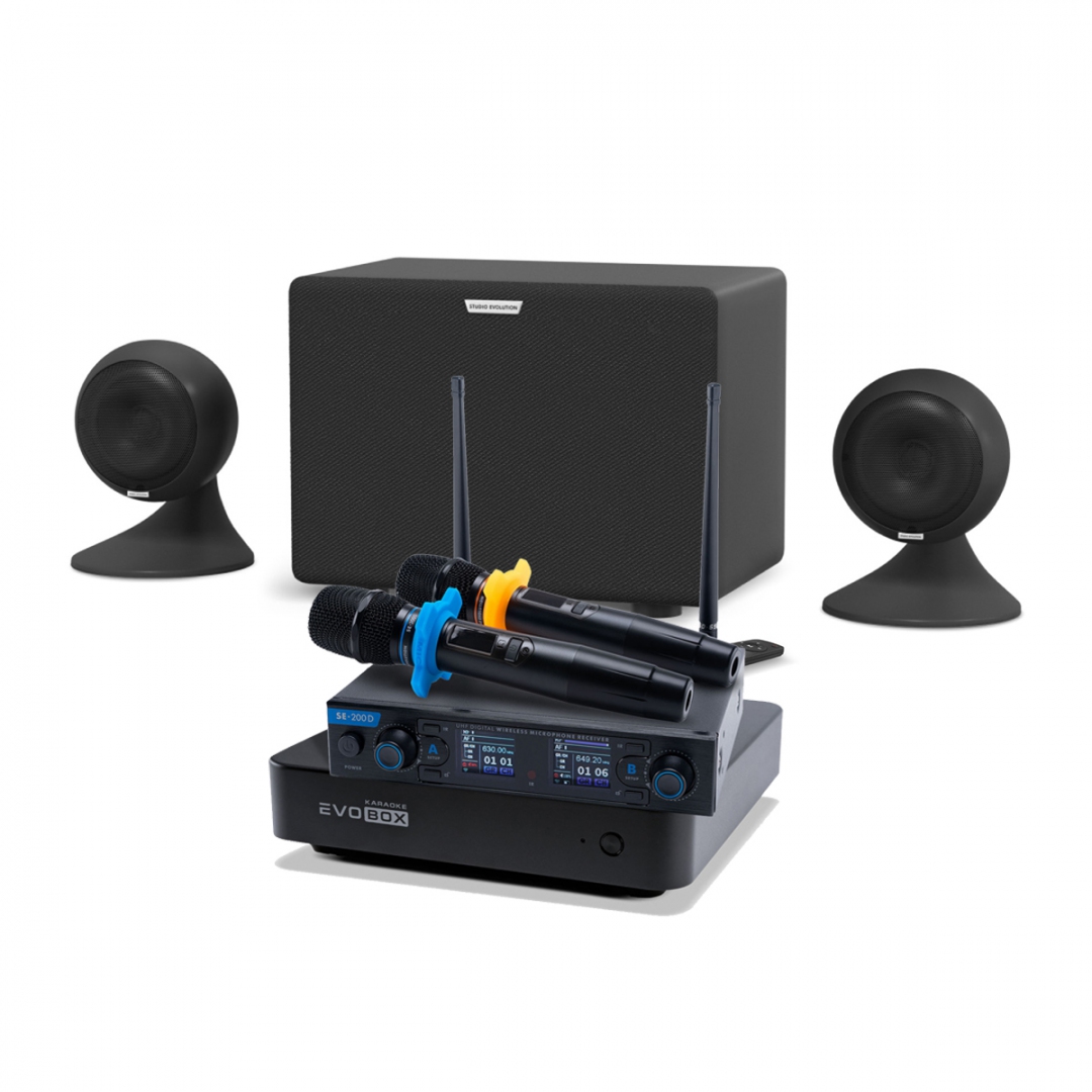 караоке-комплект EVOBOX + EvoSound Sphere 2.1 в Ишиме