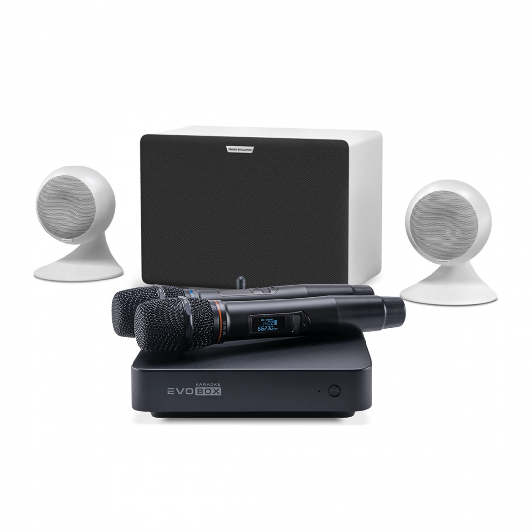 караоке-комплект EVOBOX Classic + EvoSound Sphere 2.1 в Ишиме