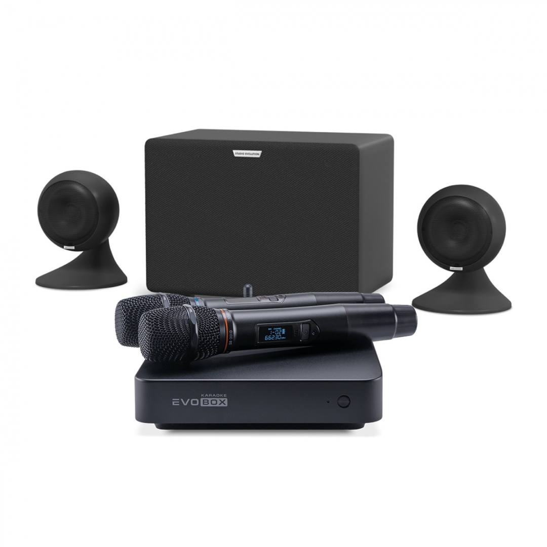 караоке-комплект EVOBOX Plus + EvoSound Sphere 2.1 в Ишиме