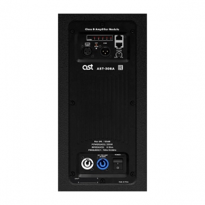 Активная акустическая система AST-308A в Ишиме