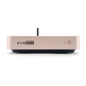 EVOBOX Classic караоке-система для дома в Ишиме