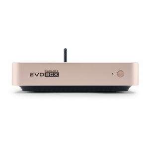EVOBOX Plus караоке-система для дома в Ишиме