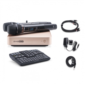 EVOBOX Plus караоке-система для дома в Ишиме