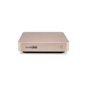 EVOBOX с микрофонами в Ишиме