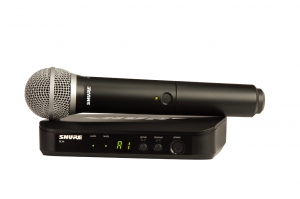 SHURE BLX24E/PG58 M17 вокальная радиосистема в Ишиме